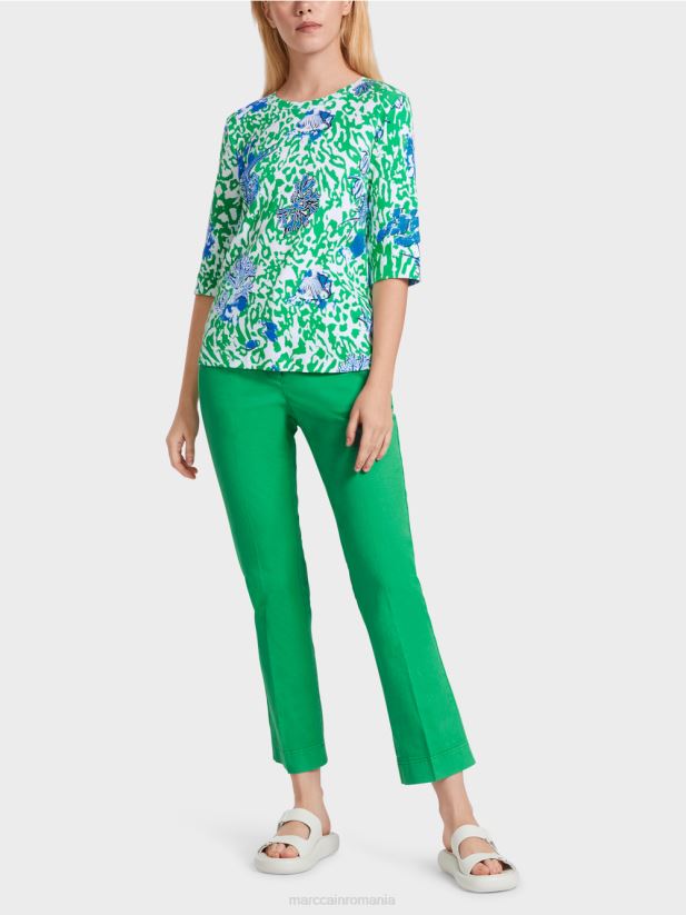 frunză strălucitoare de busuioc